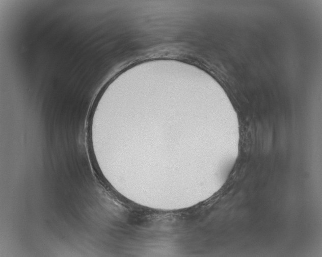 X0000071930100200608041511