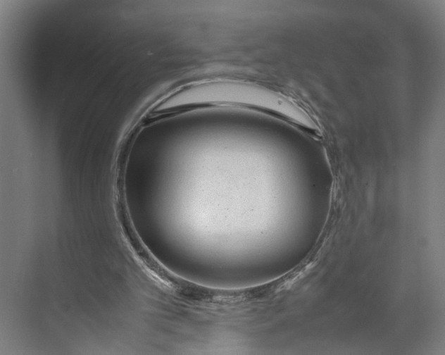 X0000071930101200608041511