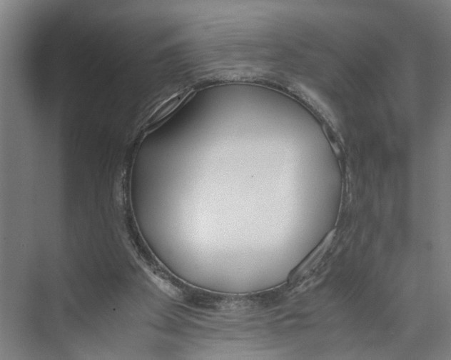 X0000071930105200608041511