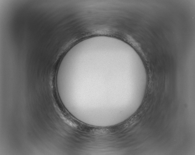 X0000071930106200608041511