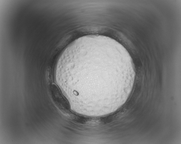 X0000071930119200608041511