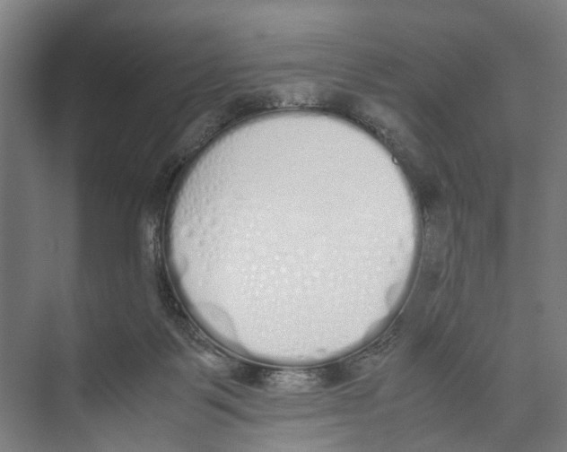 X0000071930123200608041511