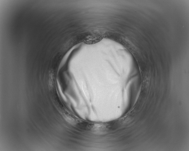X0000071930130200608041511
