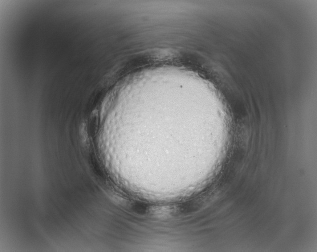 X0000071930131200608041511