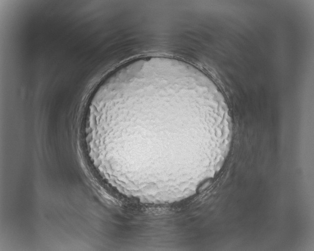 X0000071930145200608041510