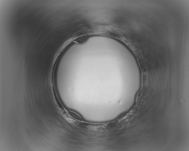 X0000071930147200608041510
