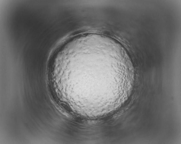 X0000071930149200608041510