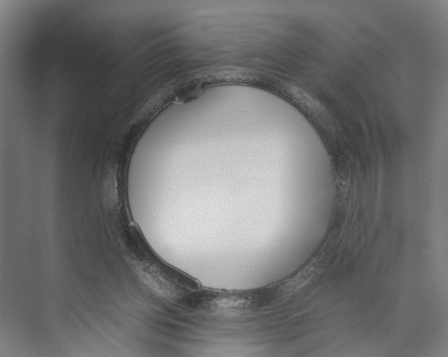 X0000071930158200608041510