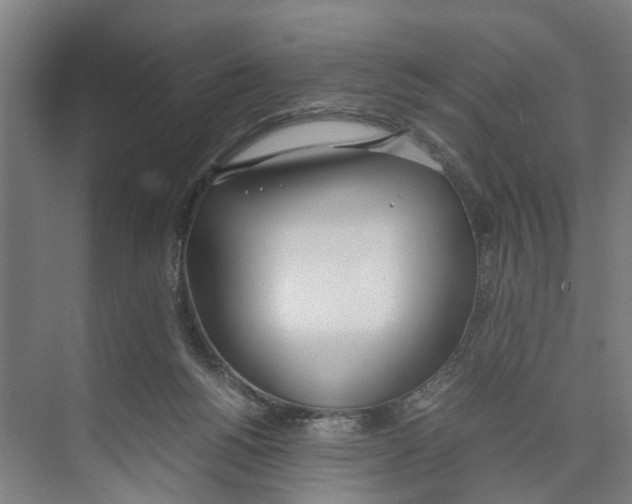 X0000071930168200608041510