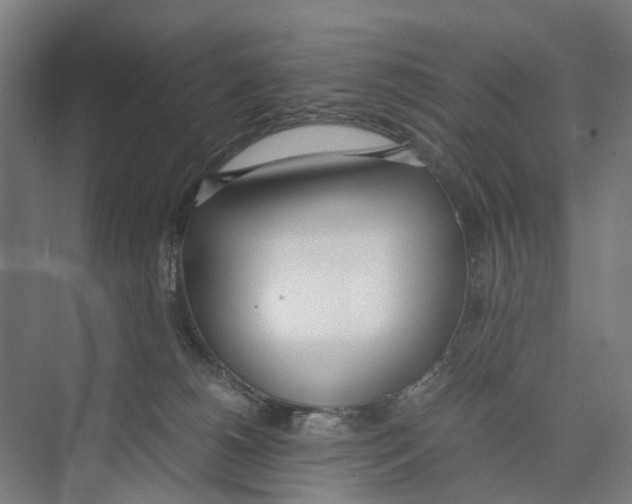 X0000071930180200608041510
