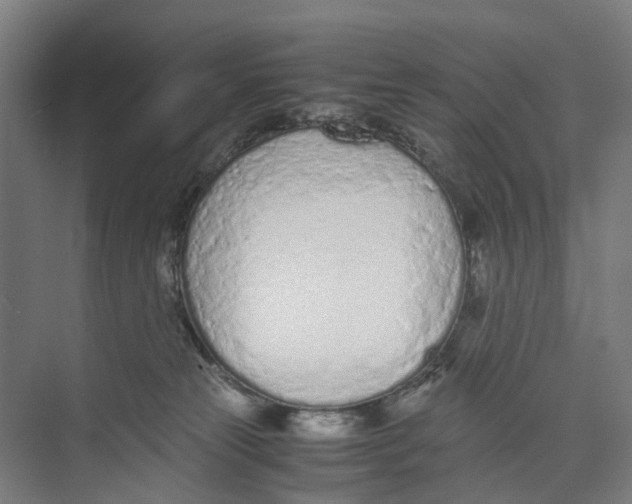 X0000071930181200608041510