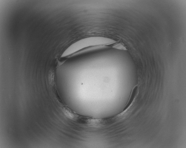 X0000071930192200608041510