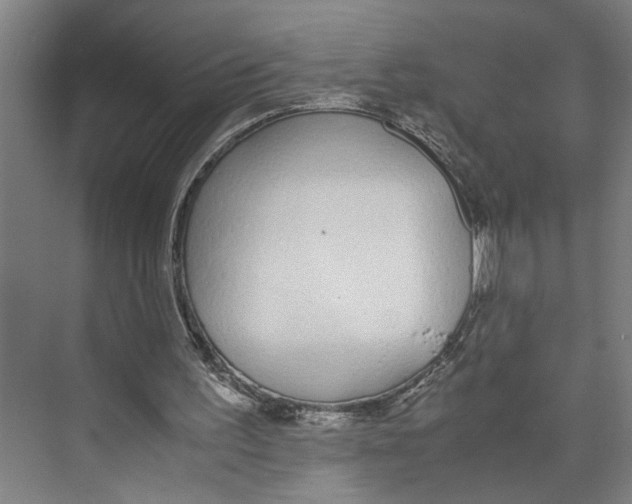 X0000071930195200608041510