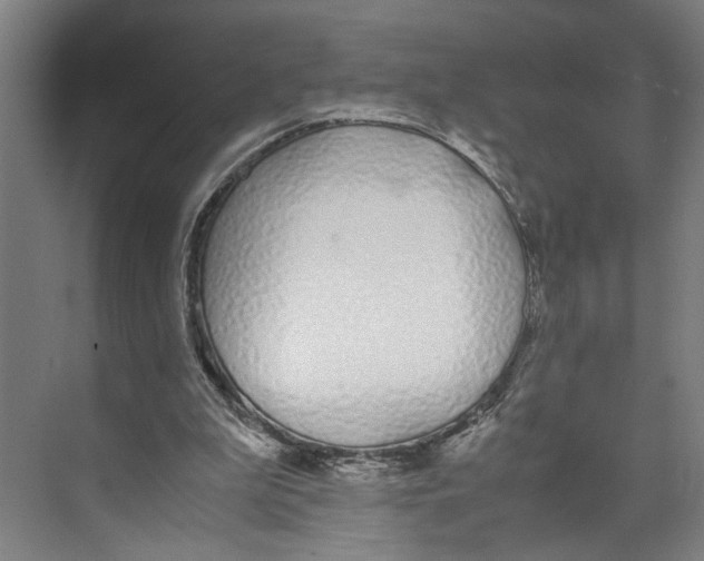X0000071930199200608041510