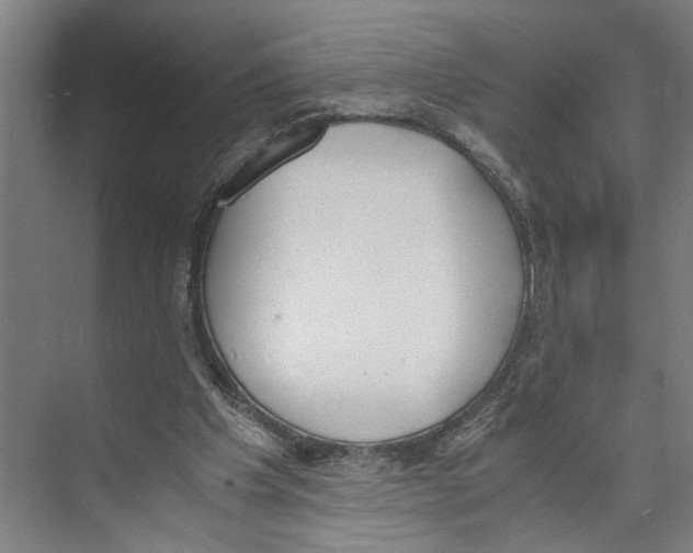 X0000071930201200608041509