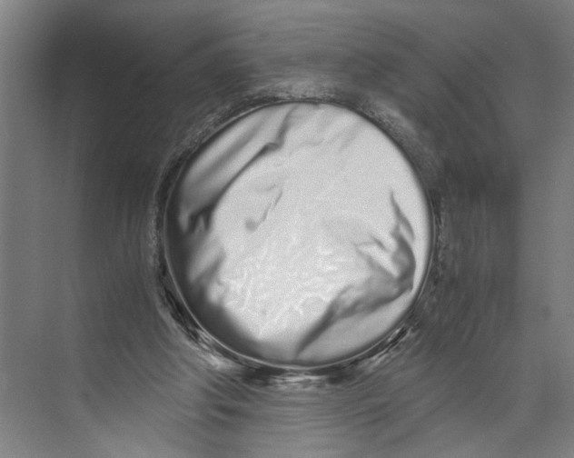 X0000071930202200608041509