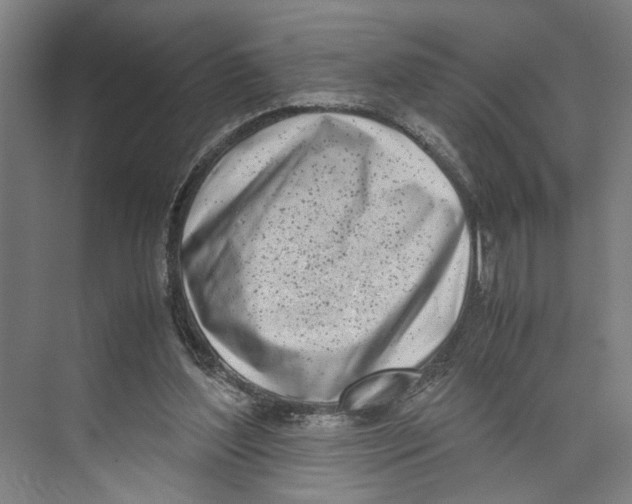 X0000071930204200608041509
