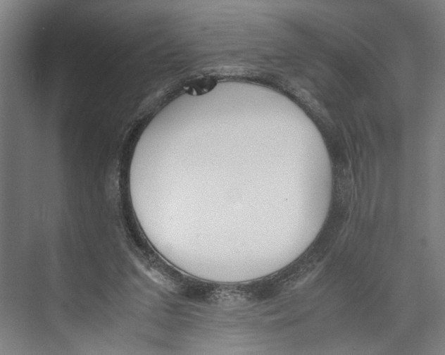 X0000071930207200608041509