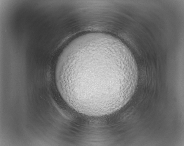 X0000071930208200608041509