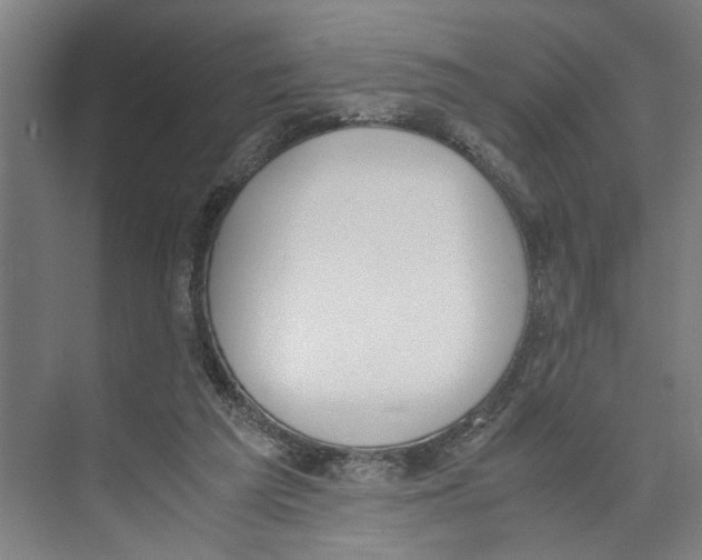 X0000071930209200608041509