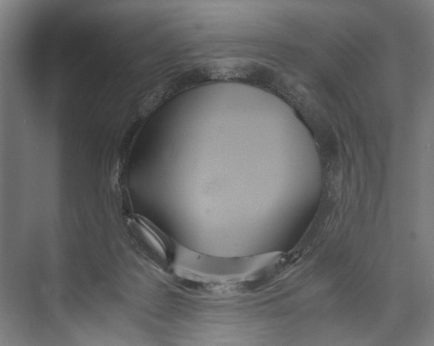 X0000071930219200608041509