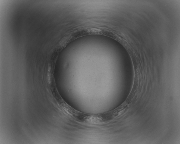 X0000071930223200608041509