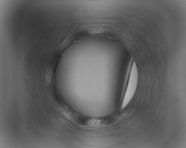 X0000071930227200608041509