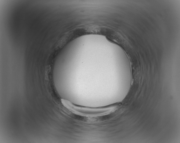 X0000071930229200608041509