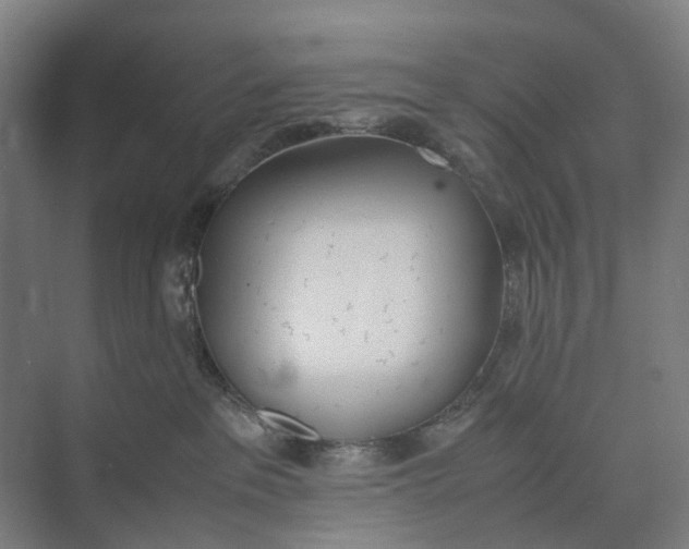X0000071930237200608041509