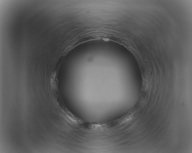 X0000071930239200608041509