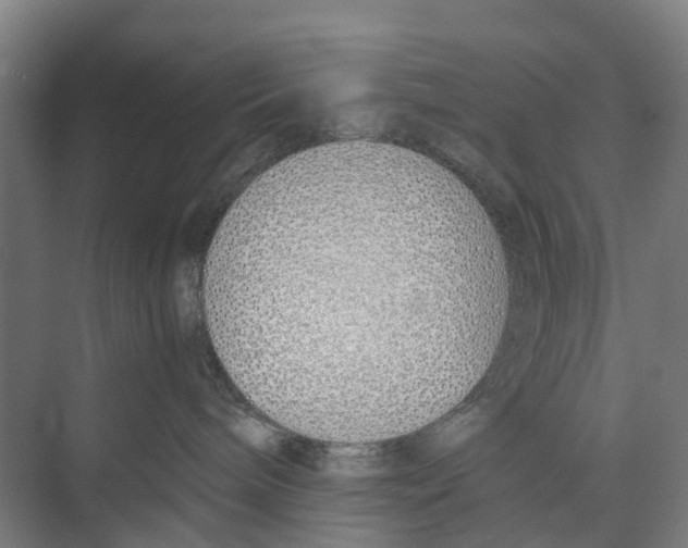 X0000071930240200608041509