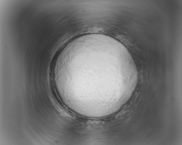 X0000071930242200608041508