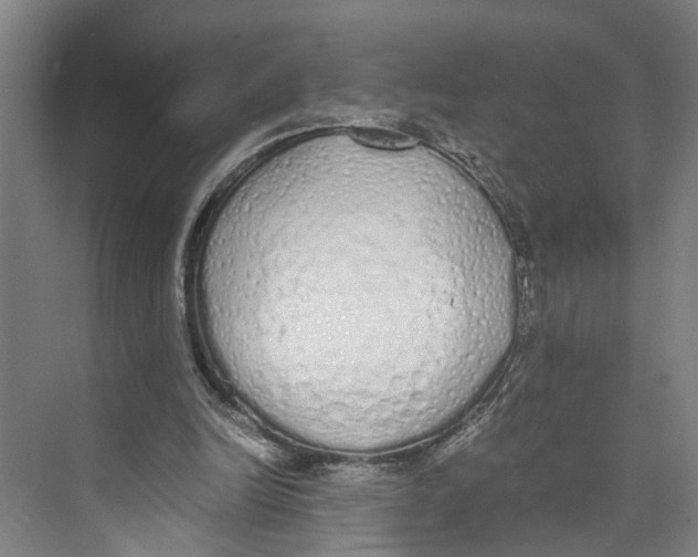 X0000071930246200608041508