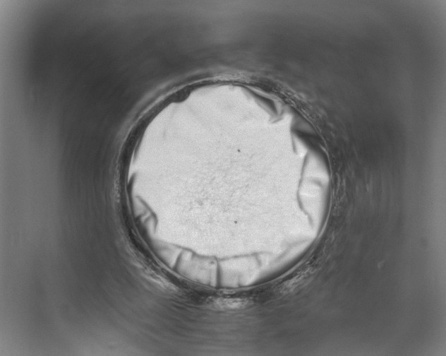 X0000071930247200608041508
