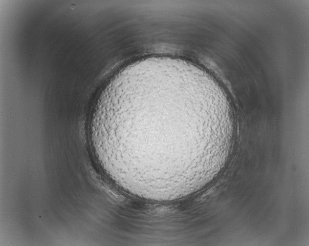 X0000071930249200608041508