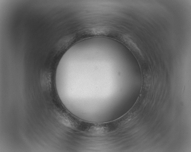 X0000071930260200608041508