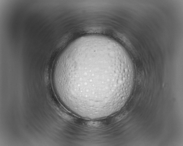 X0000071930261200608041508