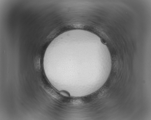 X0000071930262200608041508