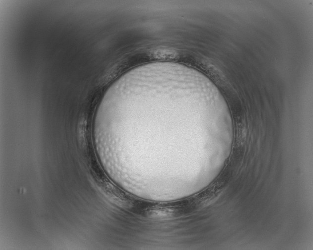 X0000071930263200608041508