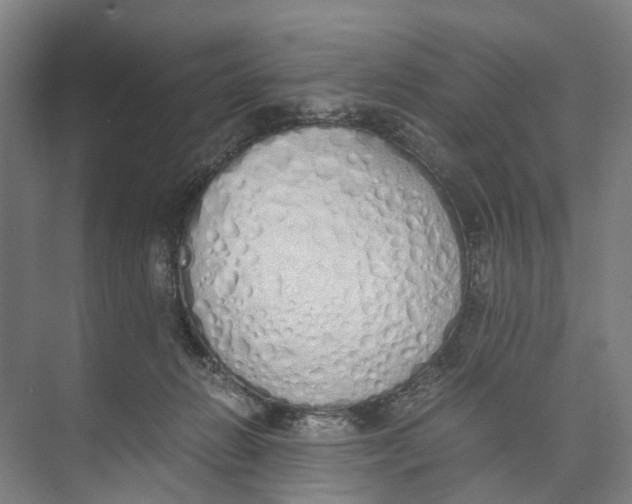 X0000071930270200608041508