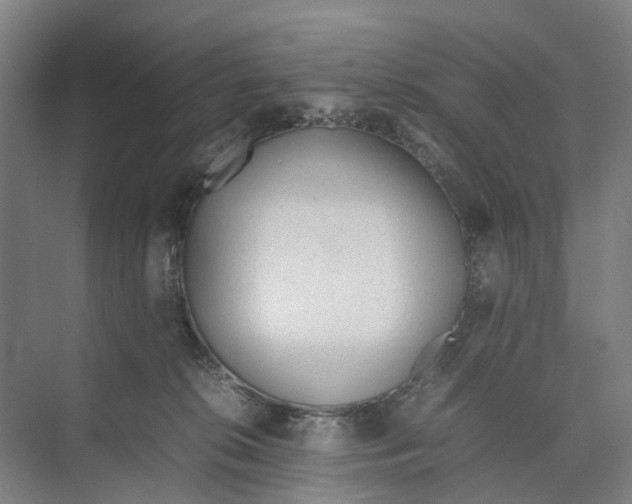 X0000071930276200608041509