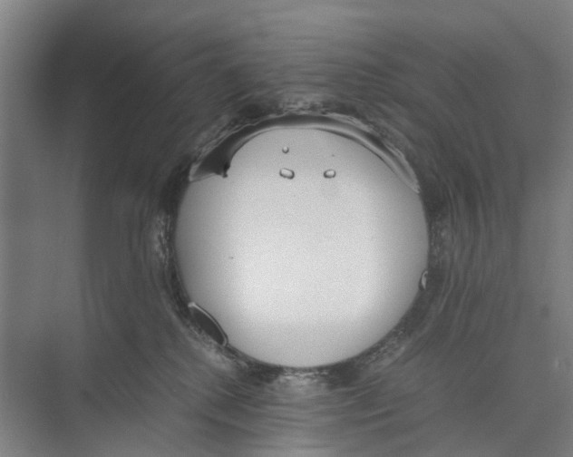 X0000071930280200608041509