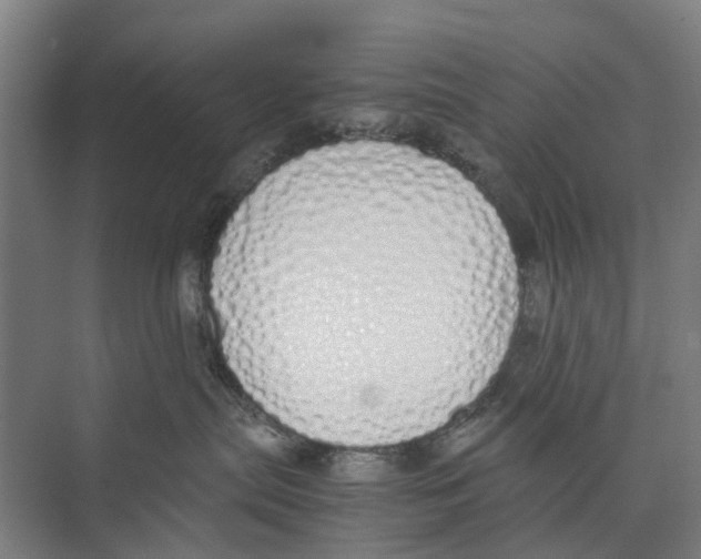 X0000071930287200608041509