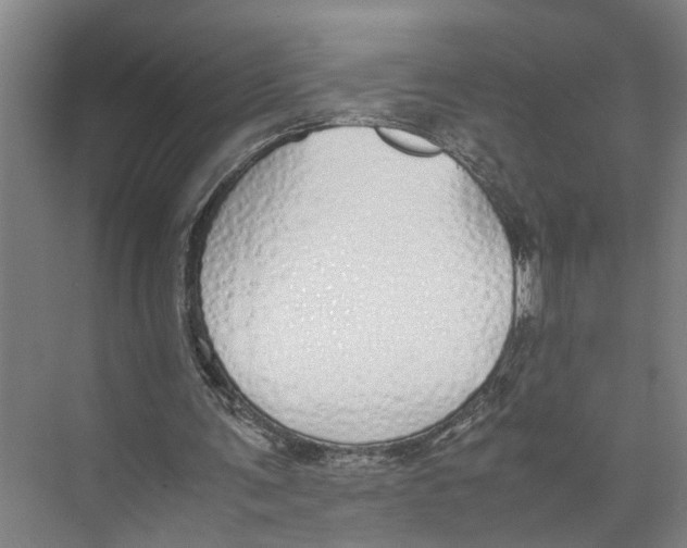 X0000071930291200608041508