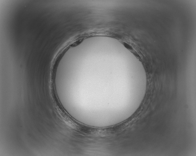 X0000071930293200608041508
