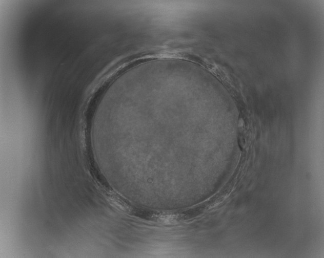 X0000071930295200608041508