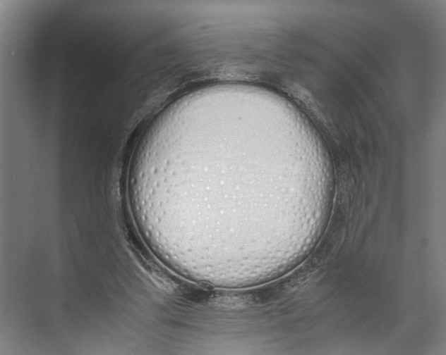 X0000071930299200608041508
