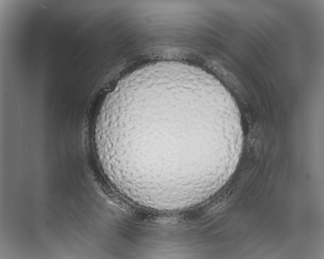 X0000071930306200608041508