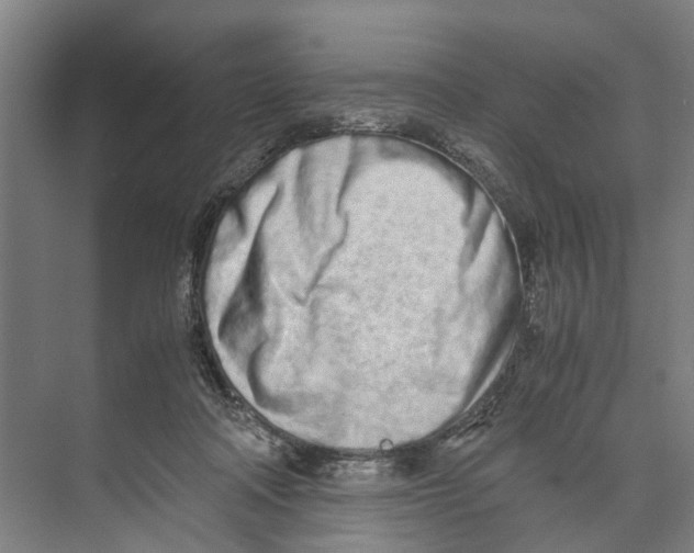 X0000071930314200608041508