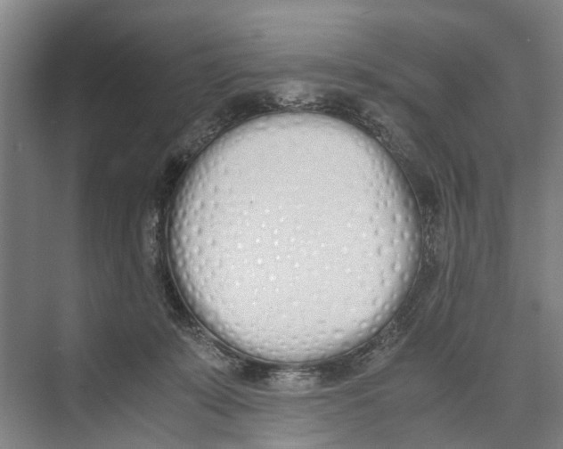 X0000071930319200608041507